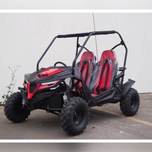 New 2022 TrailMaster Cheetah 6