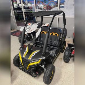 2023 Trailmaster Cheetah I6 Electric For Sale